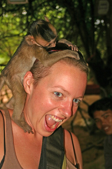 Baby Monkey Attack!