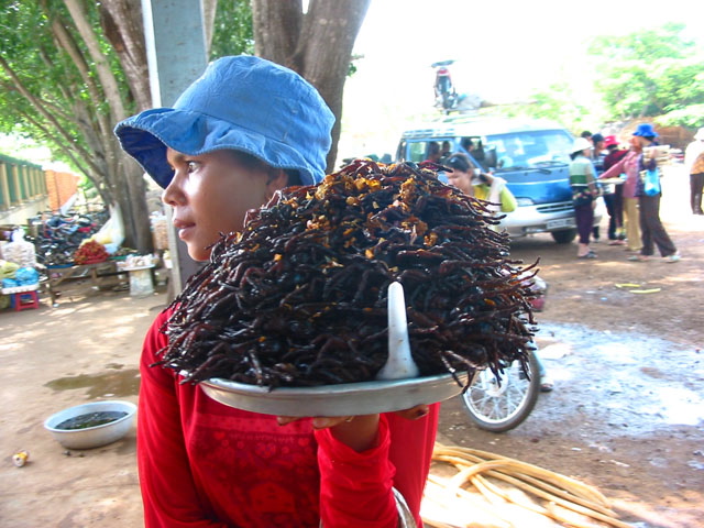 If You Thought The Crickets Were Bad...