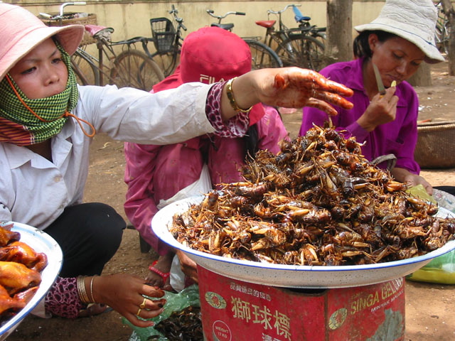 More Crickets, Please