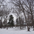 Fernridge Park