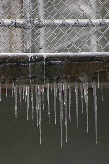 Frozen Fence
