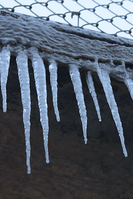 Icicles
