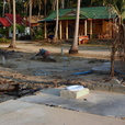 Tsunami Devastation