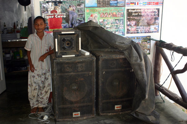 Woofers/Tweeters