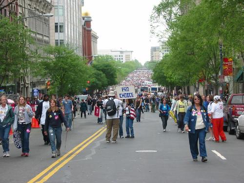 As Far As The Eye Can See