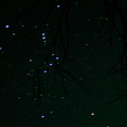 Orion